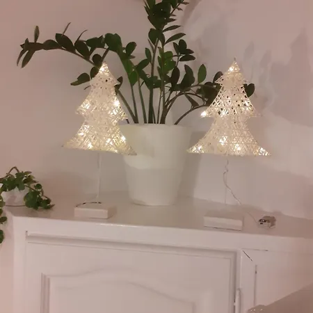 Daire Petite Maison Cosy Avec Exterieur